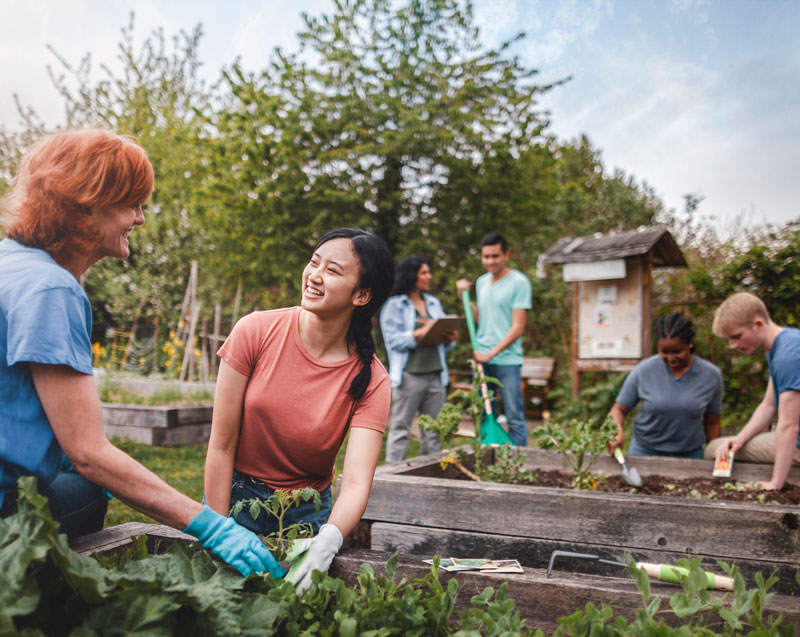 Community working together in a public garden